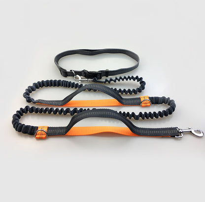 Amazon Direct Pet Supplies Multi-Function Running Reflective Pull Dog Leash Double Elastic Dog Leash Traction
