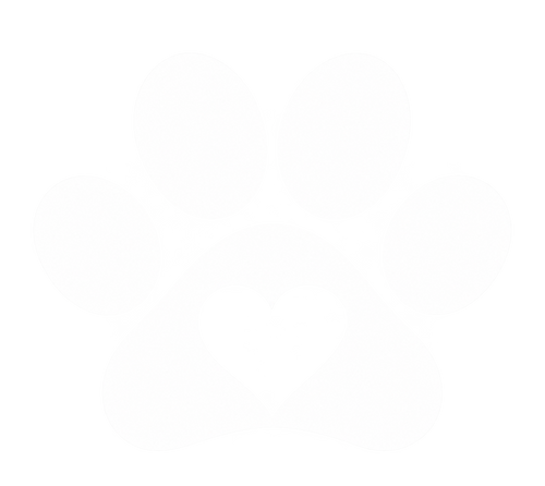 PawZenOnline.com 🌿