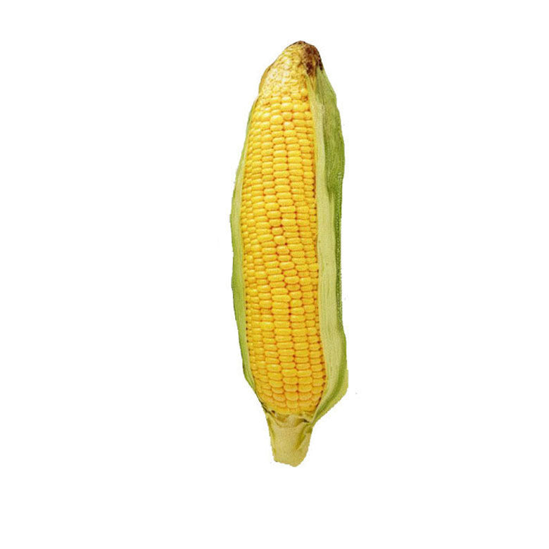 fe3a46c85cbda4c817ff875709c4c674