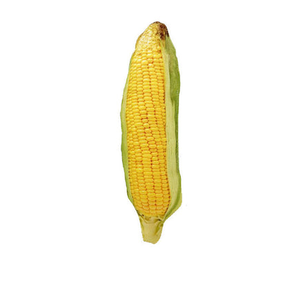 fe3a46c85cbda4c817ff875709c4c674