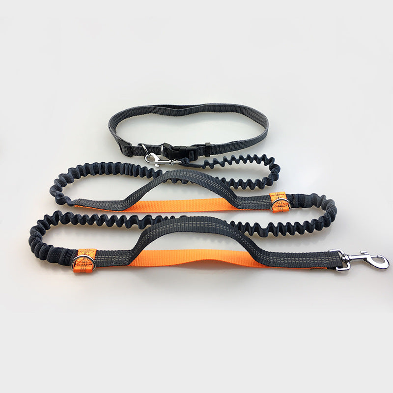 Amazon Direct Pet Supplies Multi-Function Running Reflective Pull Dog Leash Double Elastic Dog Leash Traction